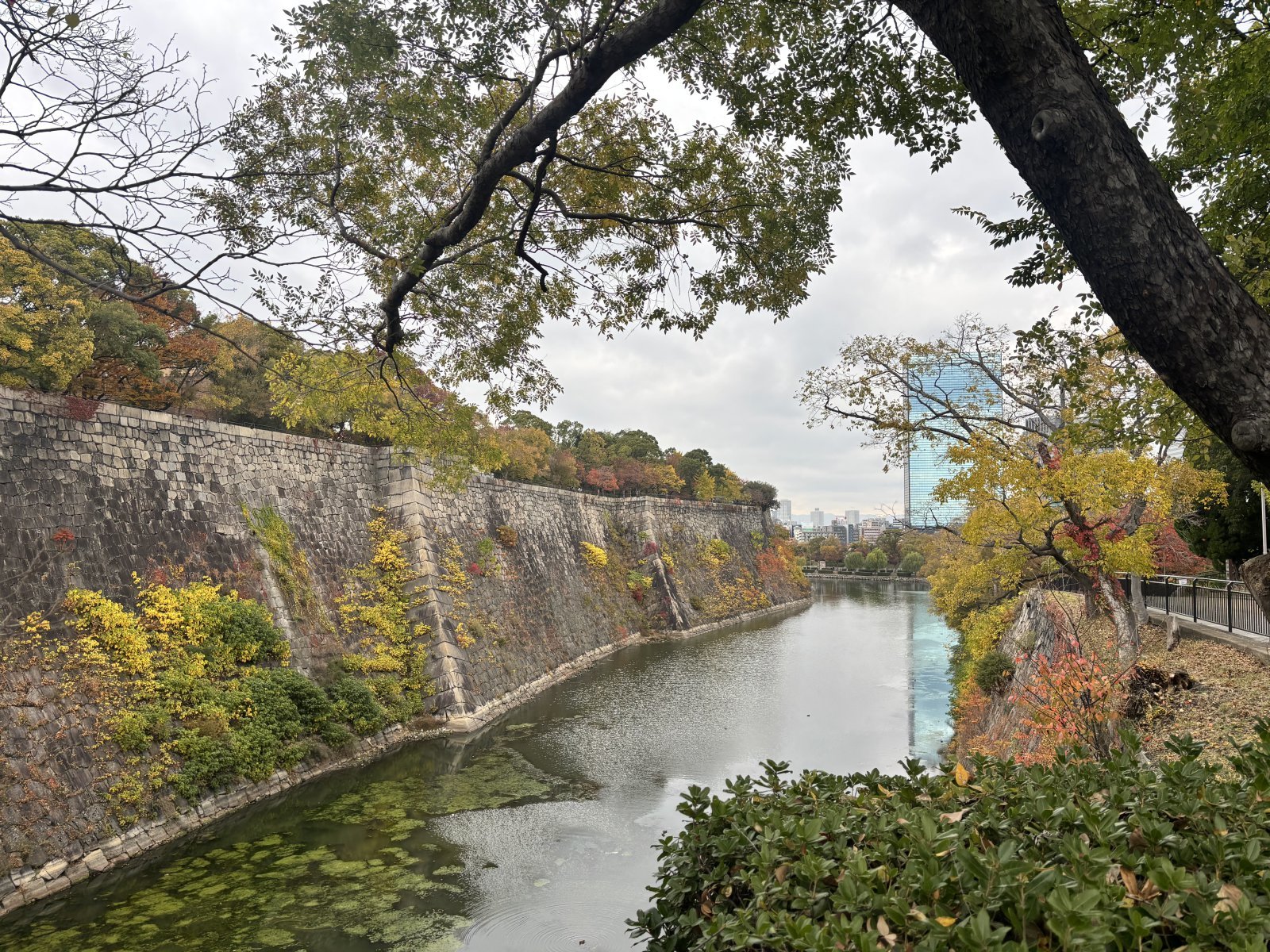 오사카성. 황소영 기자 fangso@donga.com