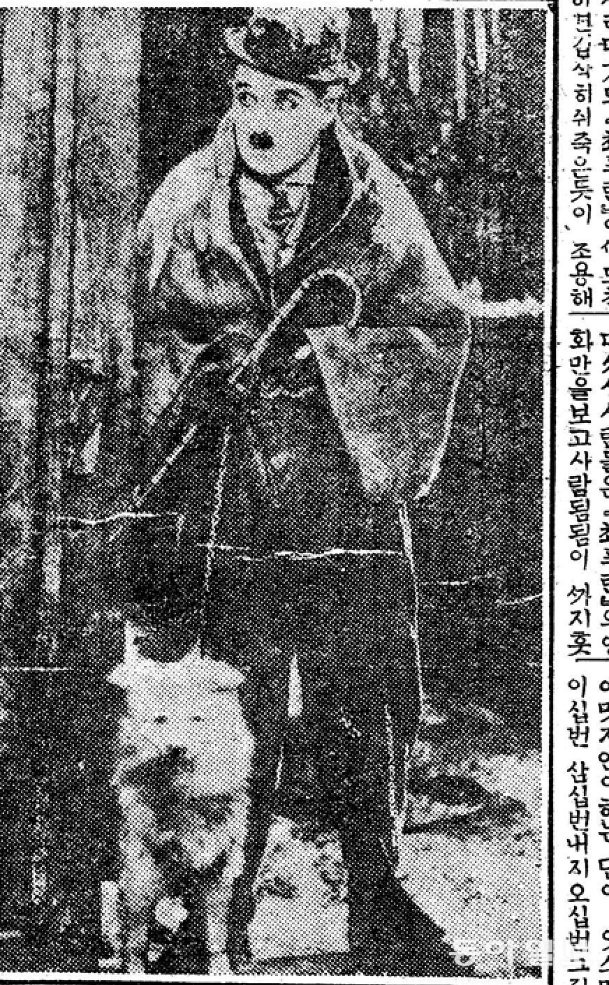 사진은『촤푸린』애교자태. 1925년 11월 27일자 동아일보
