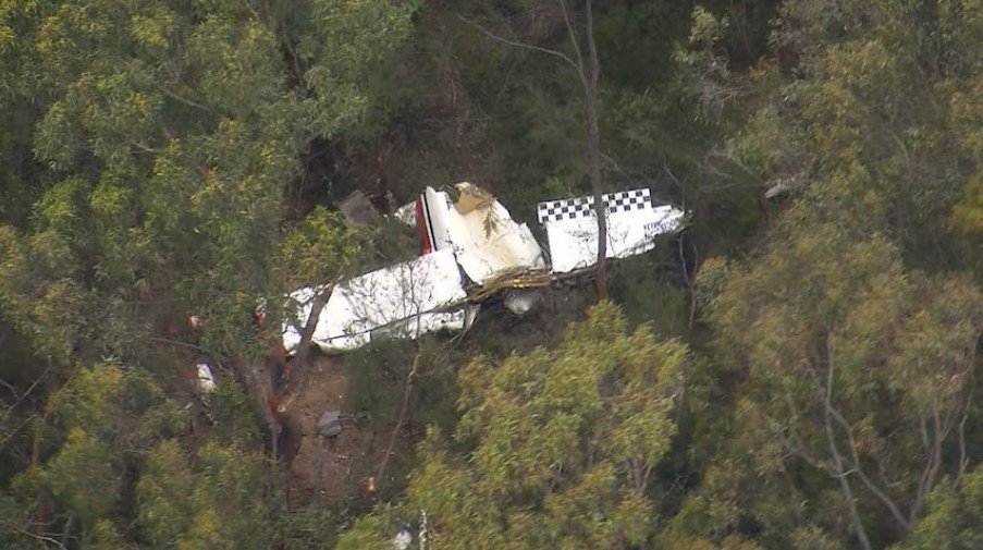 호주 ABC뉴스 캡처