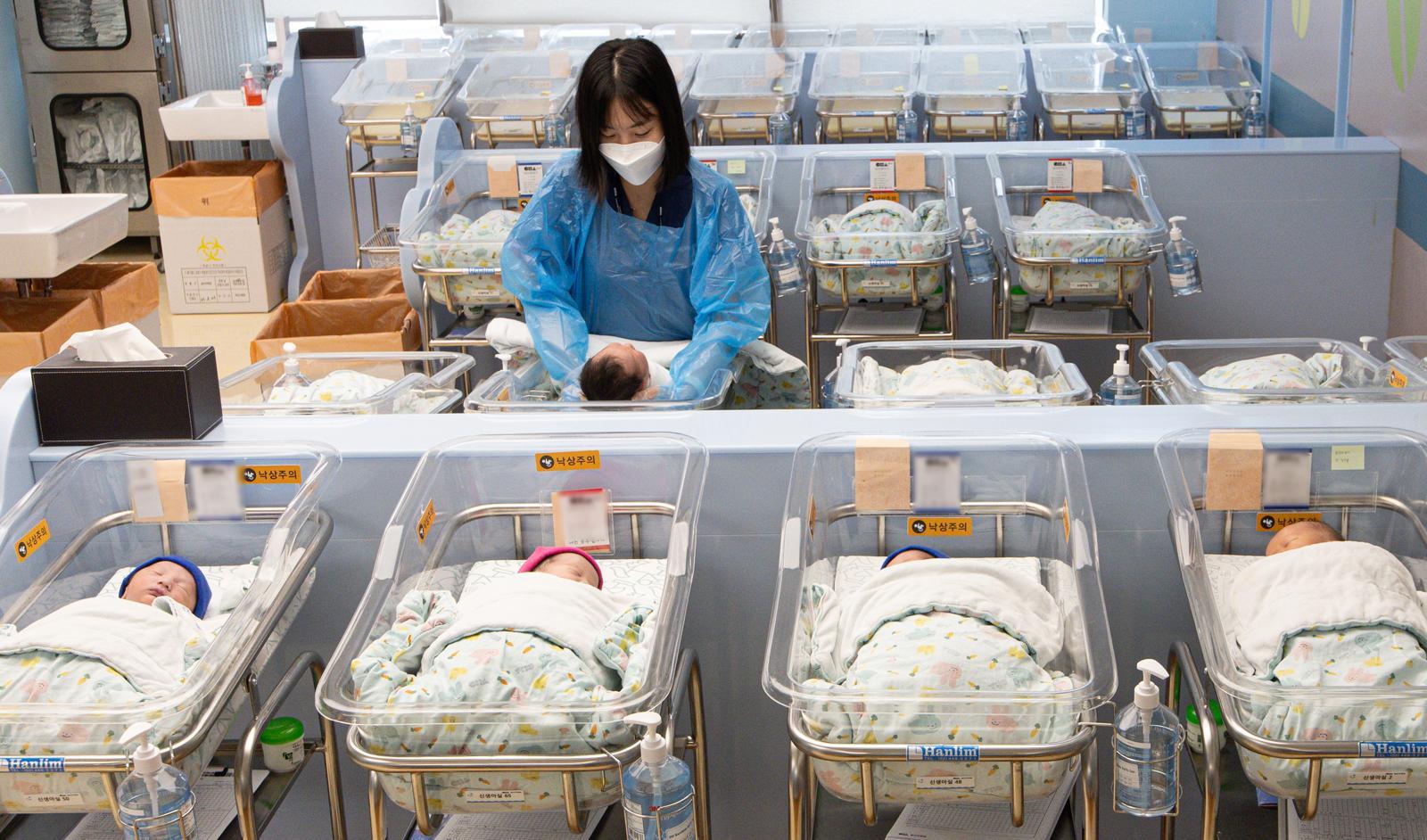 경기도 고양시 일산동구 한 병원의 신생아실 모습. 고양=뉴스1