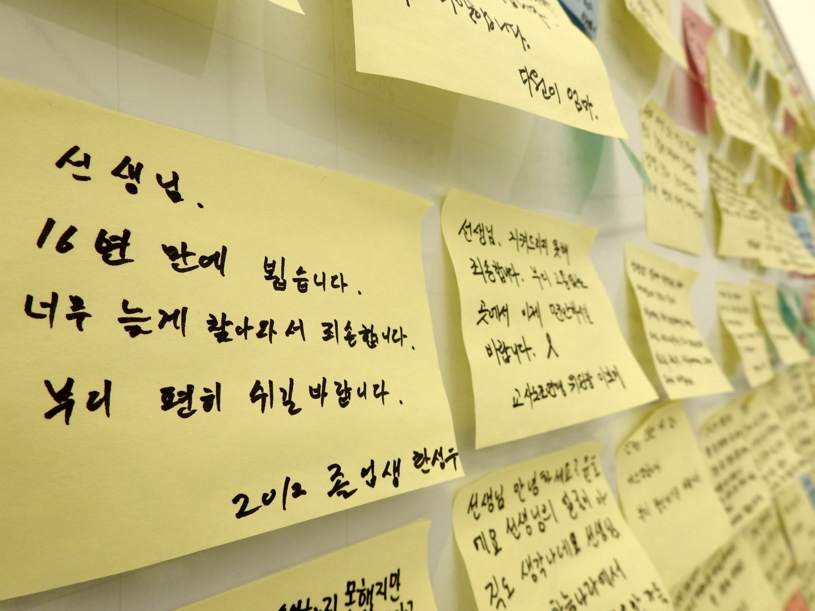 27일 오후 제주도교육청에 마련된 고 현승준 교사 분향소에 추모 쪽지가 붙여져 있다. 2025.05.27. 제주=뉴시스