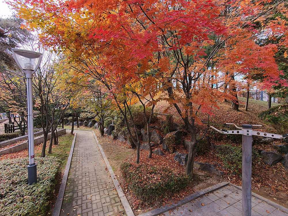 DJI 네오 2 예제 사진 / 출처=IT동아