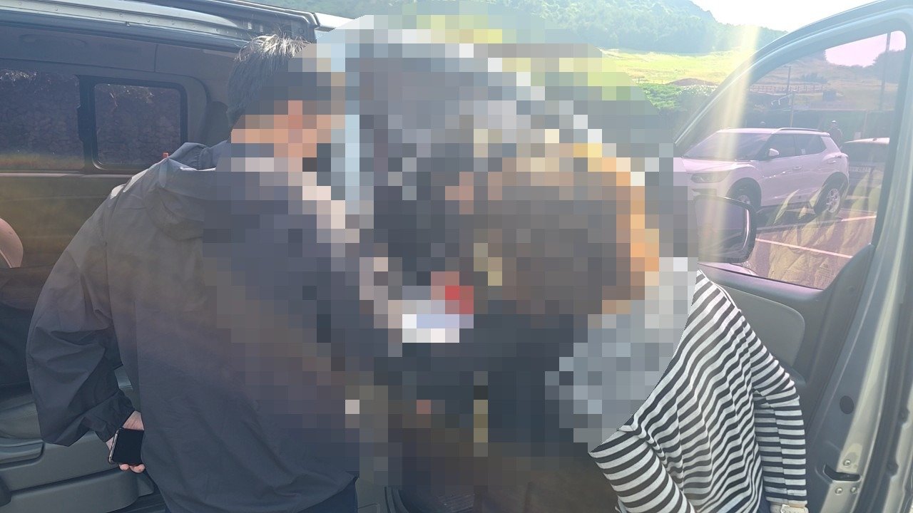 제주도 자치경찰단이 도내 관광지에서 외국인 관광객을 상대로 불법 유성 운송을 벌이고 있는 현장을 적발하고 있다. 제주도 자치경찰단 제공