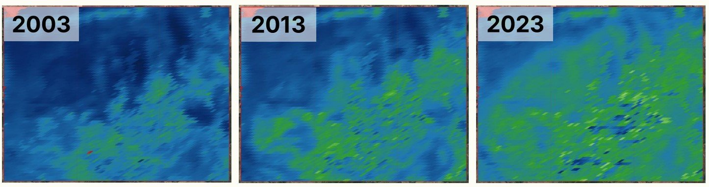 AI기반 위성자료를 활용해 몽골 토진나르스 지역의 산림복원 과정을 시각화한 모습 / 출처=메타어스랩