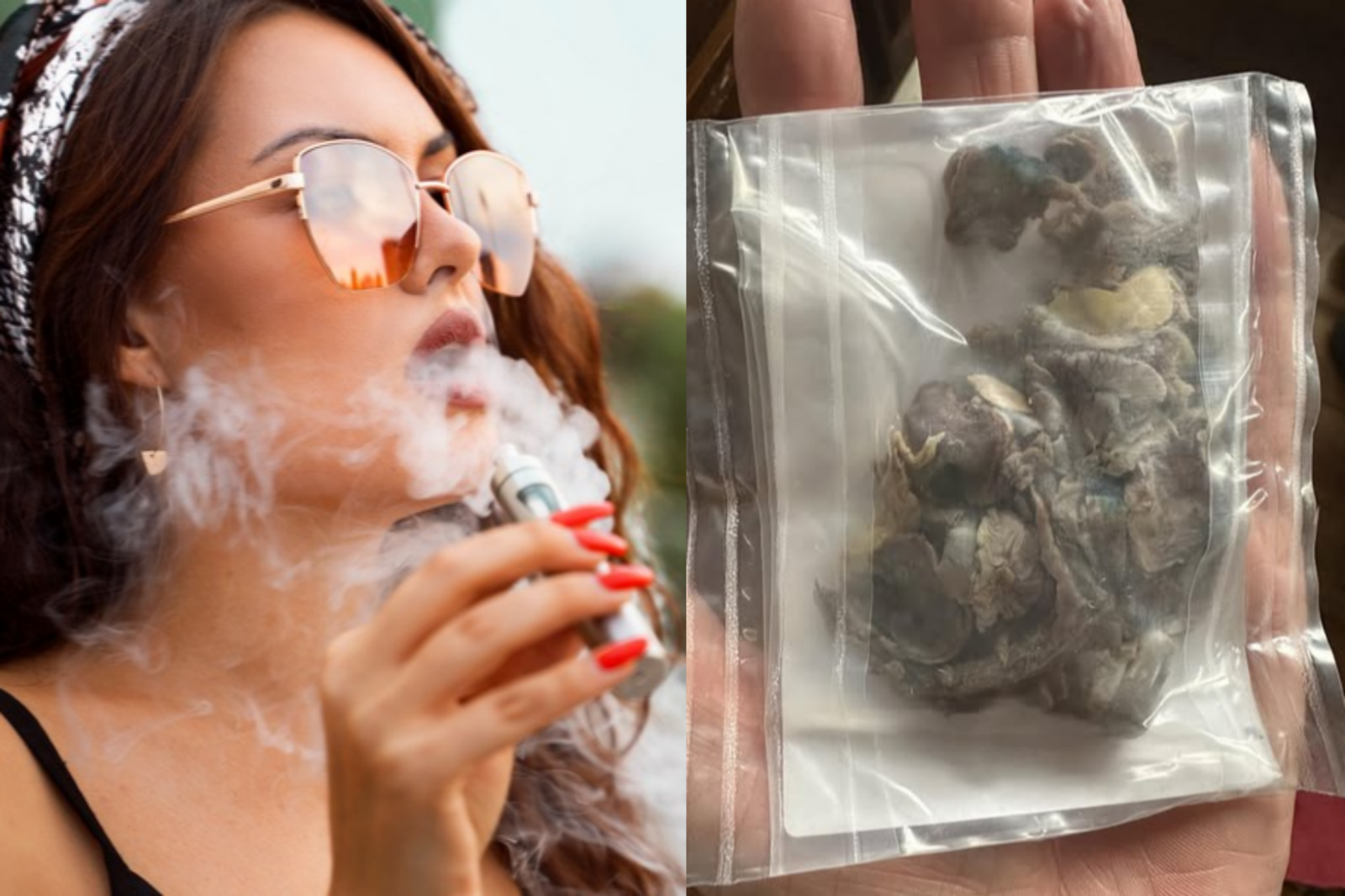 사진=게티이미지뱅크, @Kylee Jope