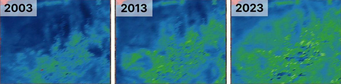 AI기반 위성자료를 활용해 몽골 토진나르스 지역의 산림복원 과정을 시각화한 모습 / 출처=메타어스랩