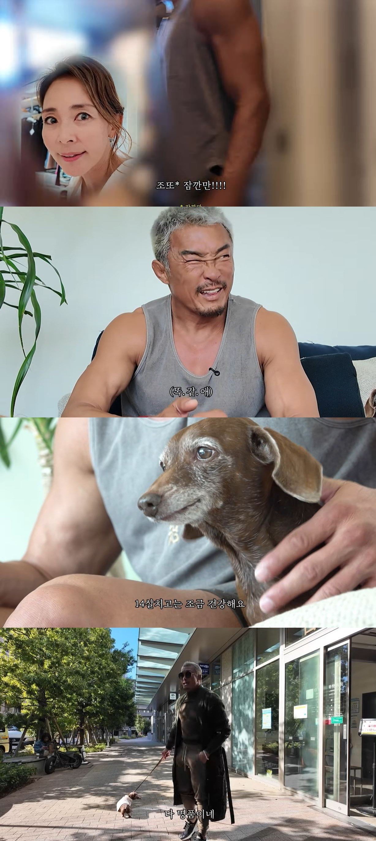 추성훈이 야노시호 유튜브에 등장한 집 모습이 실제와 다르다며 직접 해명했다. 반려견 쿄로 돌봄 영상 속 논란과 함께 부부의 도쿄 자택도 관심을 모았다. ⓒ뉴시스