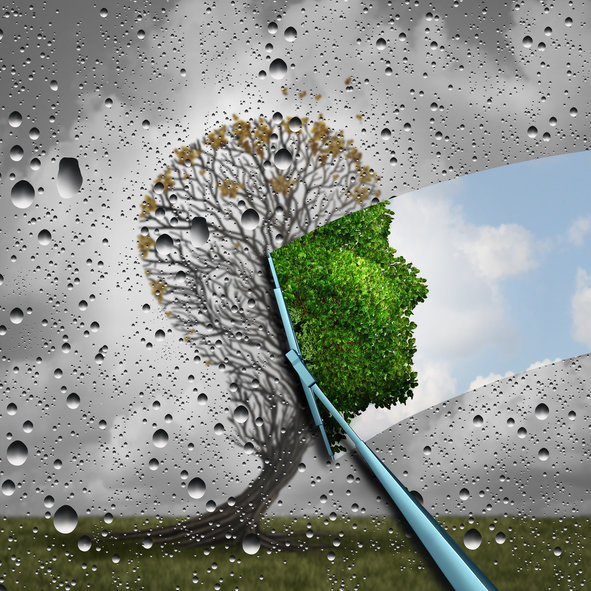 옥시토신과 Alk5 억제제 병용 시, 늙은 수컷 생쥐 수명이 70% 향상됐다. 사진=게티이미지코리아.