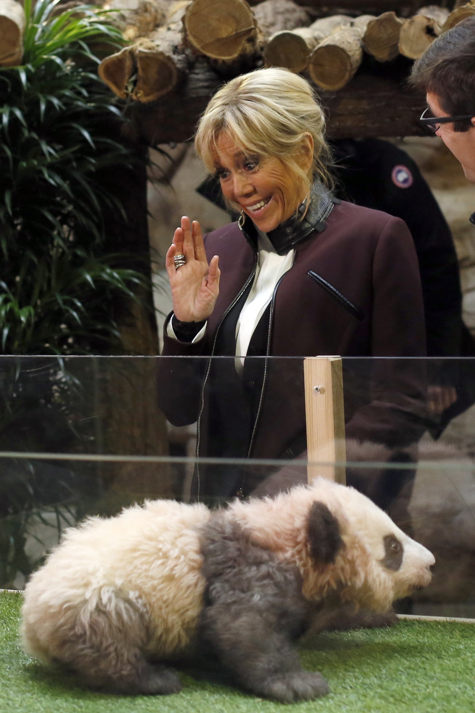 ﻿﻿에마뉘엘 마크롱 프랑스 대통령이 중국을 국빈 방문 중인 가운데, 중국이 오는 2027년 프랑스에 암수컷 판다 한 쌍을 추가로 보낼 예정이라고 밝혔다. 사진은 에마뉘엘 마크롱 프랑스 대통령의 부인 브리지트 여사가 2017년 보발 동물원에서 생후 4개월 된 아기 판다를 향해 손을 흔드는 모습. 2025.12.05 생테냥쉬르셰르=AP 뉴시스