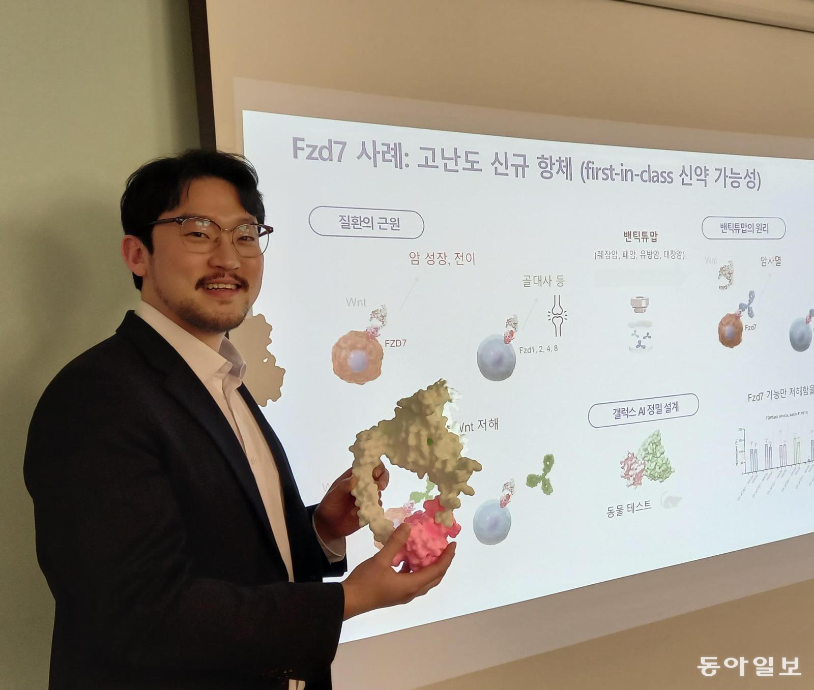 박태용 갤럭스 부사장이 대장암 간암 위암 뇌종양 등에 관여하는 표적단백질(FZD7)에 정교하게 붙어 치료효과를 높이는 드노보 항체 모형(왼손에 든 큰 모형)을 들고 설계 과정을 설명하고 있다. 타사가 개발하던 밴틱튜맙의 뼈가 부서지는 부작용을 없앤 드노보 항체 신약을 기대하고 있다. 허진석 기자 jameshur@donga.com