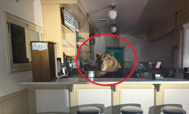 사진=엘도라도 카운티 보안관실