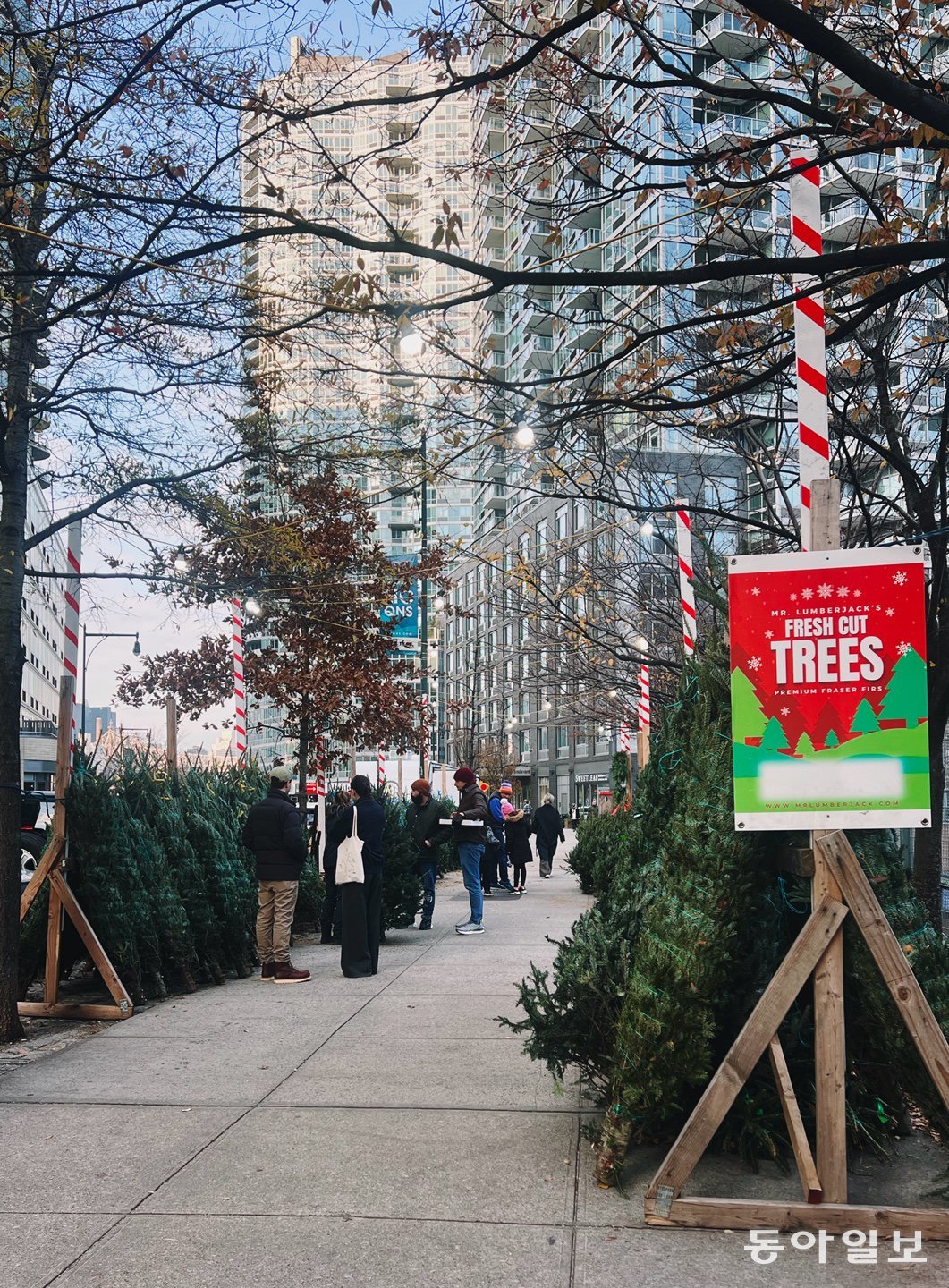 뉴욕시의 아파트 건물 앞에 생긴 크리스마스 나무 판매소의 모습. 뉴욕=임우선 특파원 imsun@donga.com