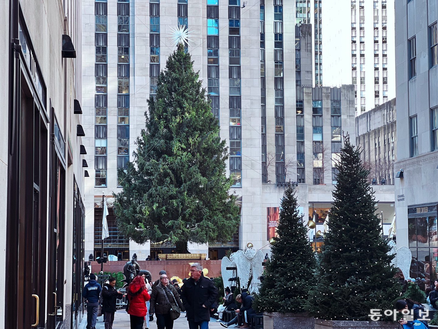 올해 뉴욕 시민과 관광객을 맞을 준비를 마친 채 점등을 기다리고 있는 록펠러 센터 크리스마스 트리. 뉴욕=임우선 특파원 imsun@donga.com
