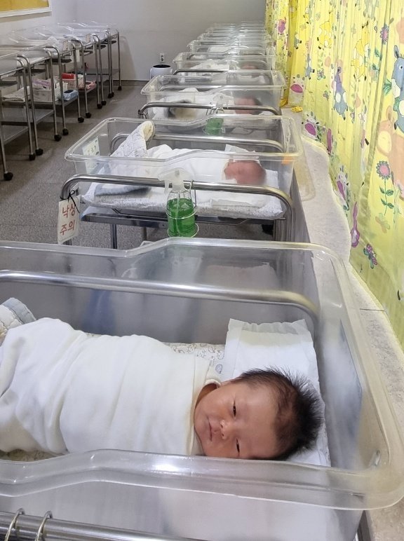 한 산후조리원 신생아실에 신생아들이 누워 있다. 뉴스1