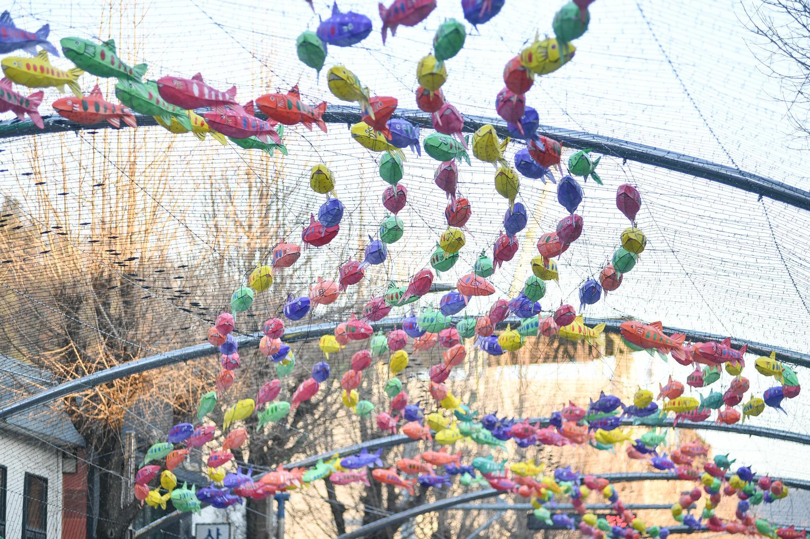 3일 화천군 화천읍 중앙로 일대에서 선등 거리 조성 작업이 진행되고 있다. 선등 거리는 수만개의 산천어등과 수십만개의 발광다이오드 조명으로 꾸며진다. 화천군 제공