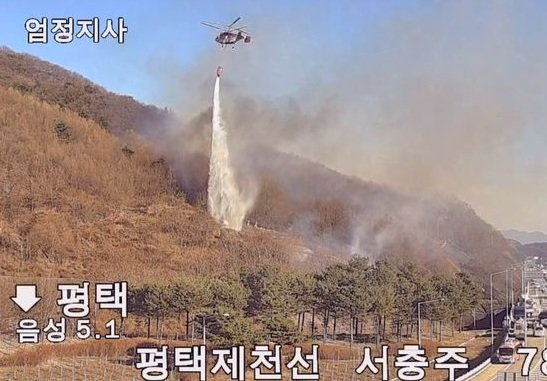 사진=산림청 제공