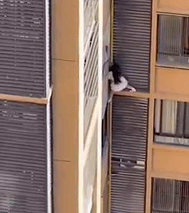 사진=더 선 갈무리