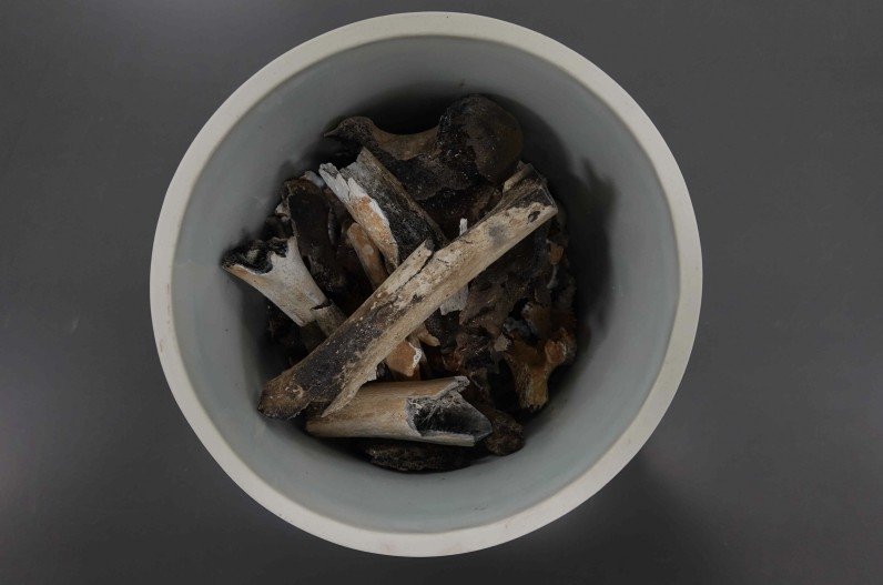 사진=국방부 제공