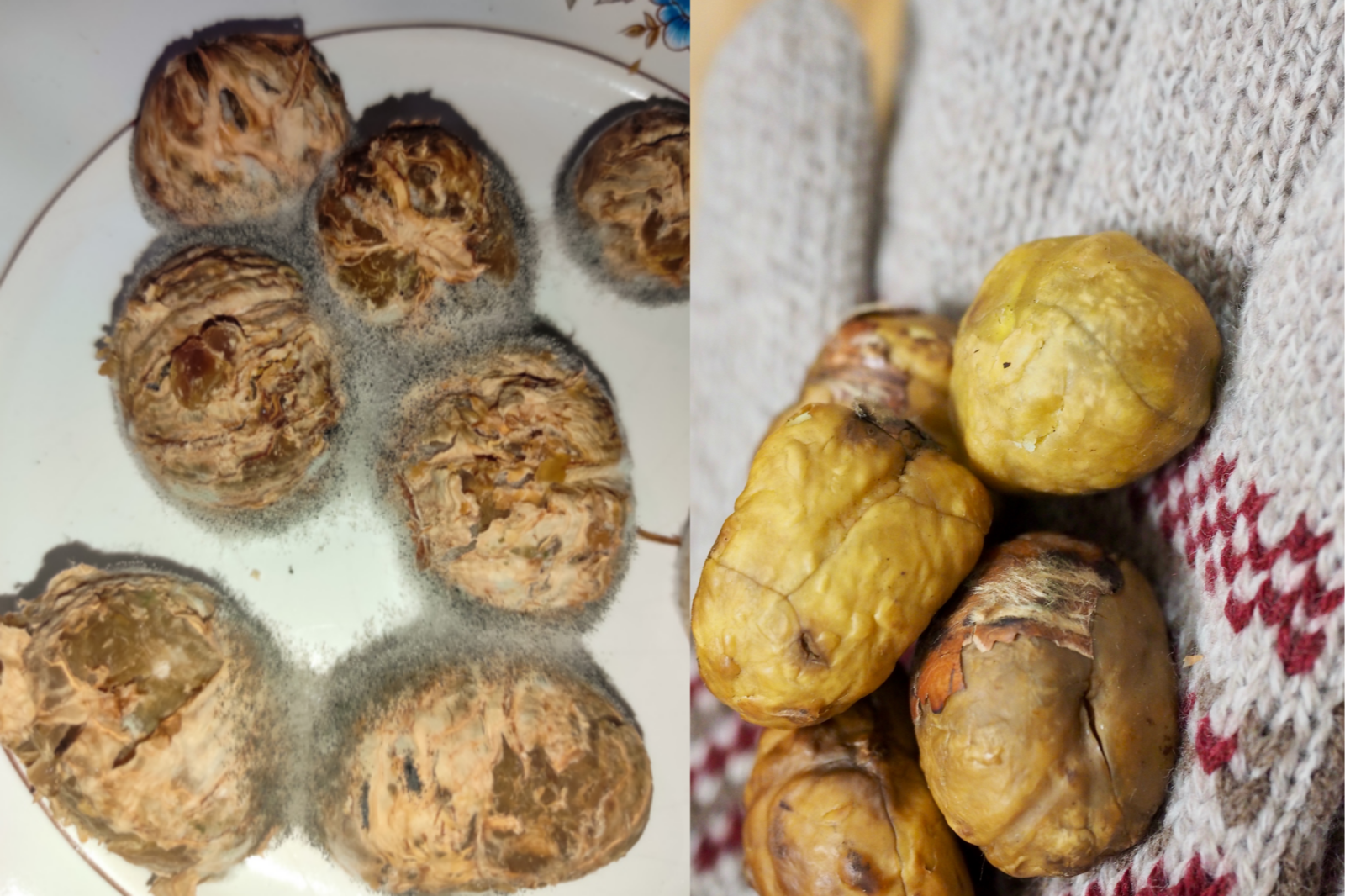 사진=게티이미지뱅크.