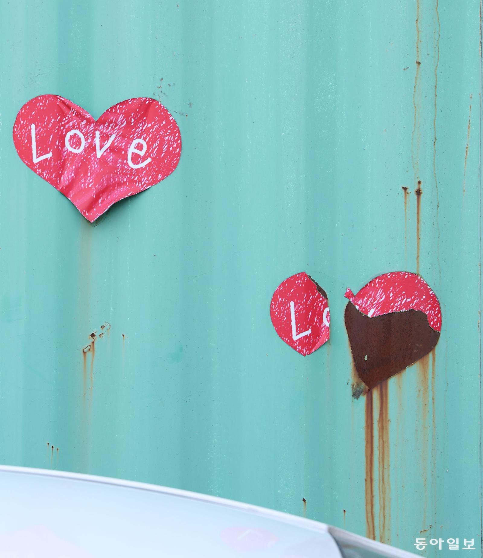 [고양이 눈]지켜내는 사랑