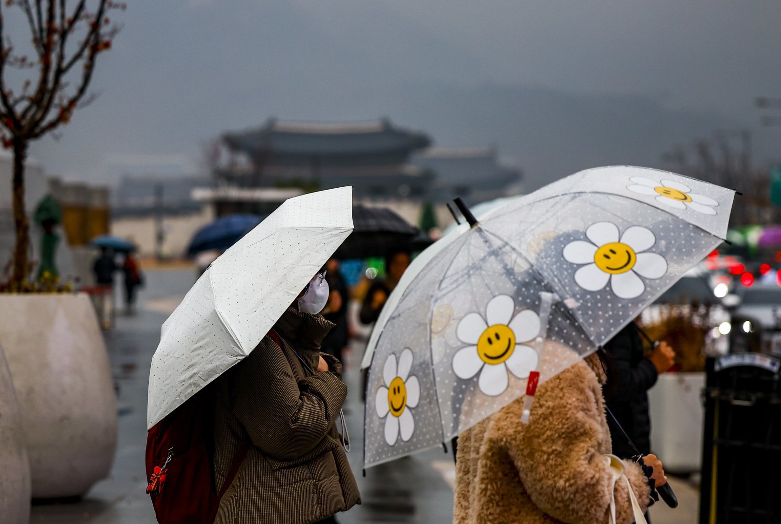 비가 내린 25일 서울 종로구 광화문광장에서 우산을 쓴 시민들이 신호를 기다리고 있다. 2025.11.25. [서울=뉴시스]