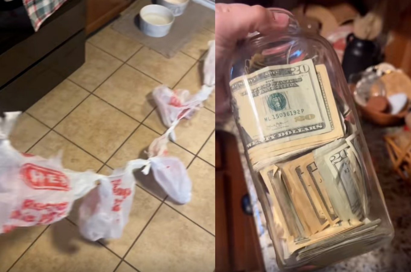 틱톡 갈무리 @miles8katrina