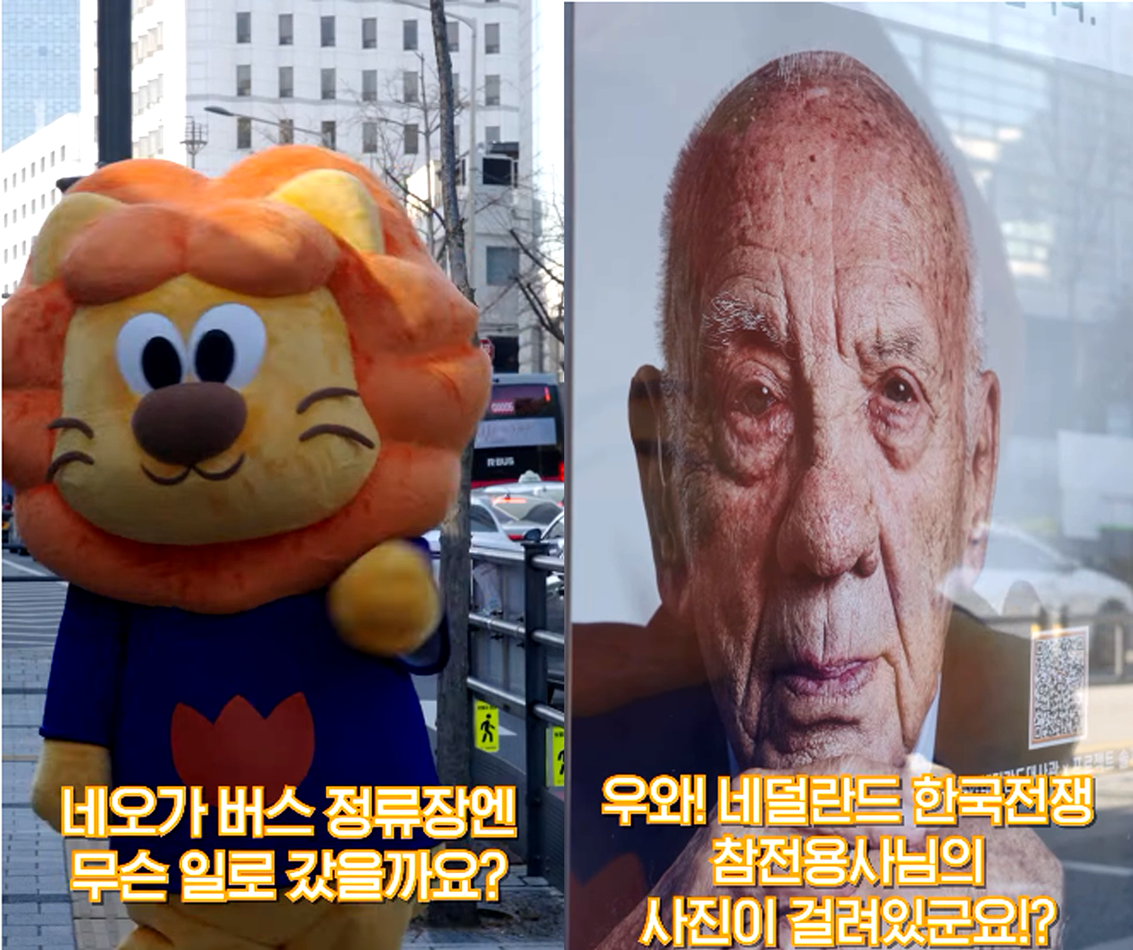 네덜란드 참전용사 프로젝트 알리기 이벤트