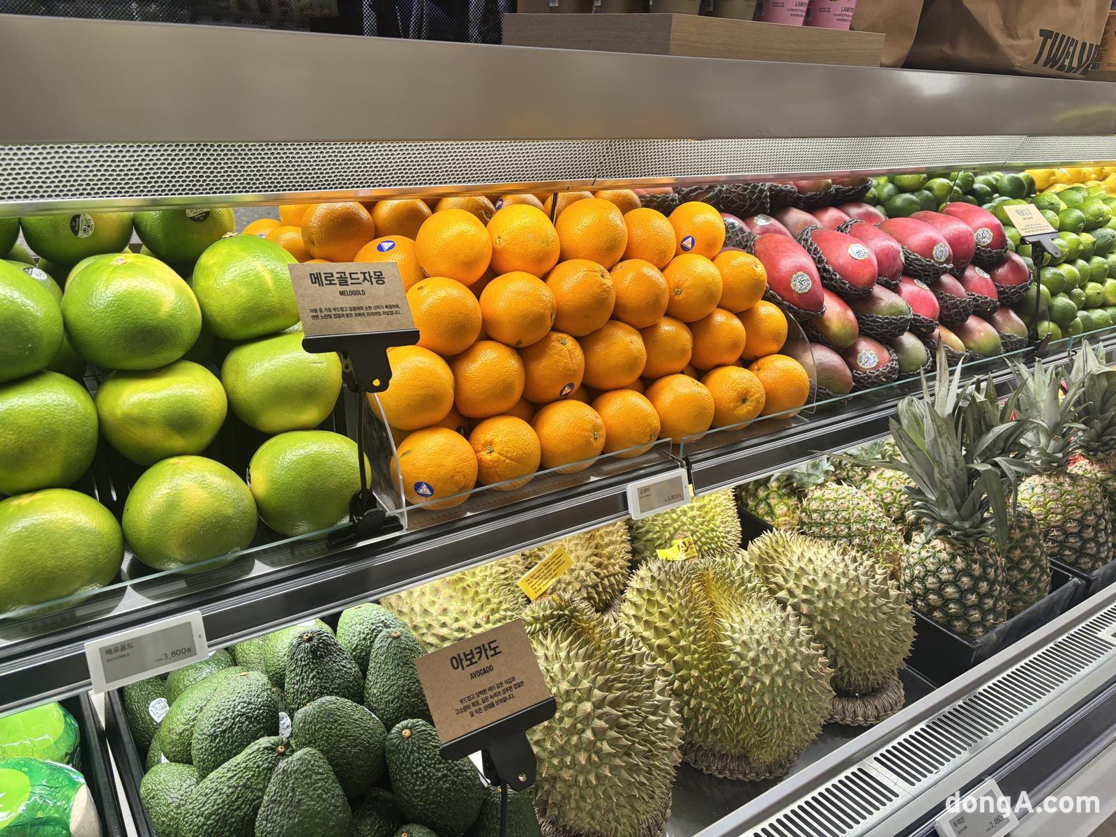 하우스오브신세계 청담. 황소영 기자 fangso@donga.com