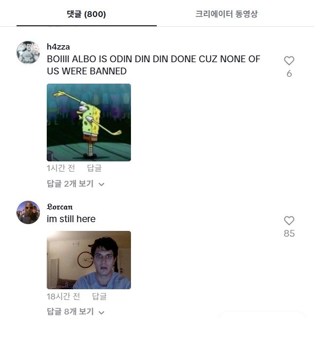 앤서니 앨버니지 호주 총리의 SNS에 “우리 중 아무도 차단 안 당했다”는 내용으로 달린 댓글 (출처=앤서니 앨버니지 호주 총리 틱톡 계정)