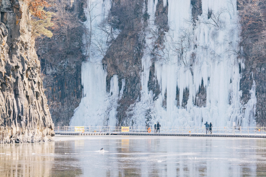 강원 철원군 한탄강 물윗길 구간의 빙벽. 철원군 제공