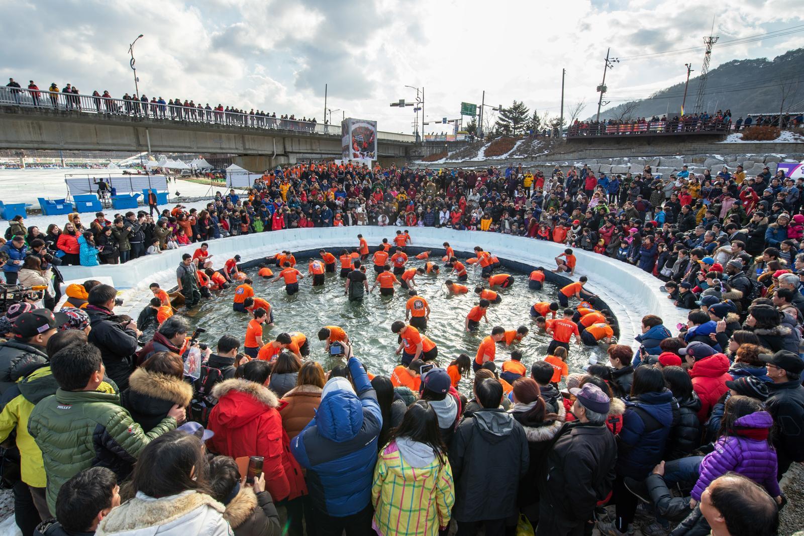 화천 산천어축제의 인기 프로그램 중 하나인 산천어 맨손잡기. 화천군 제공