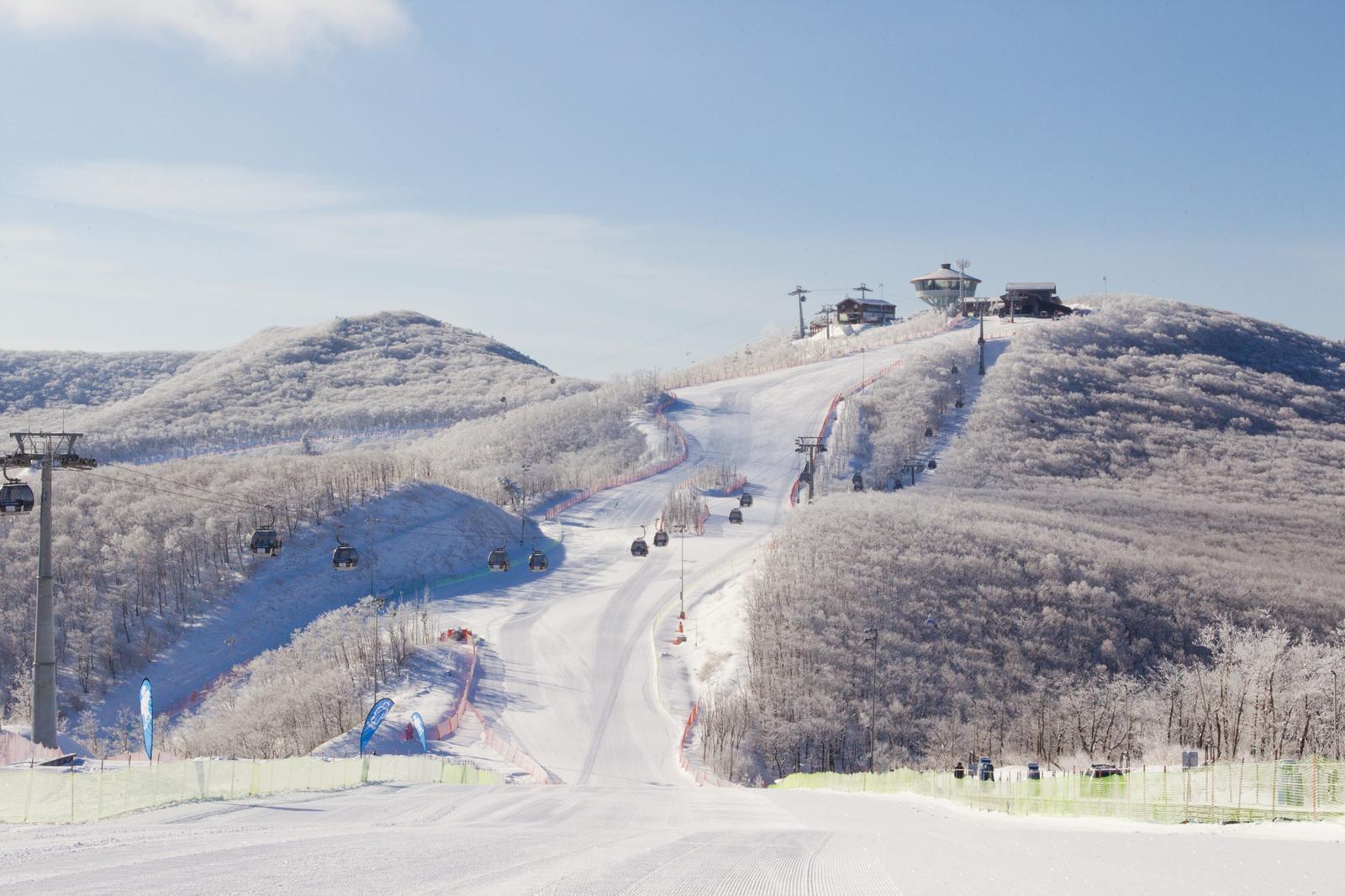 하이원리조트 스키장. 하이원리조트 제공