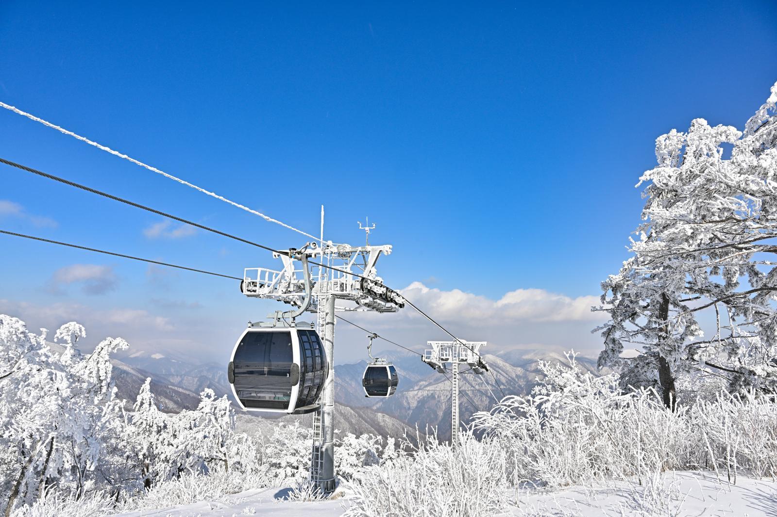 가리왕산 케이블카. 정선군 제공