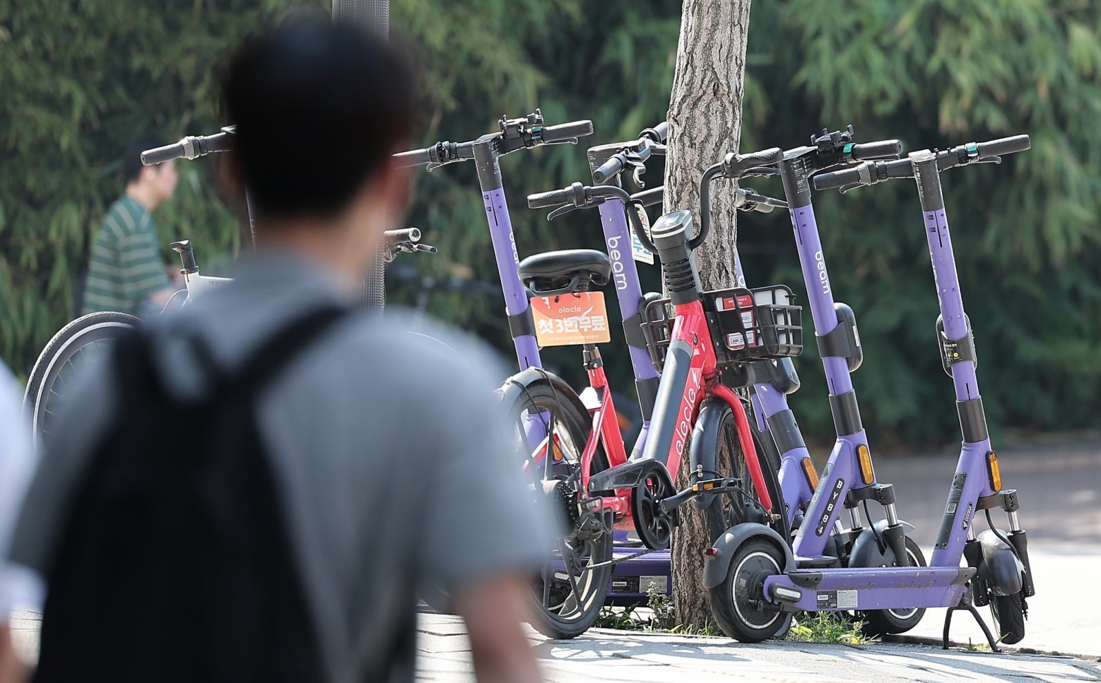 (사진은 기사 내용과 무관함) / 뉴스1