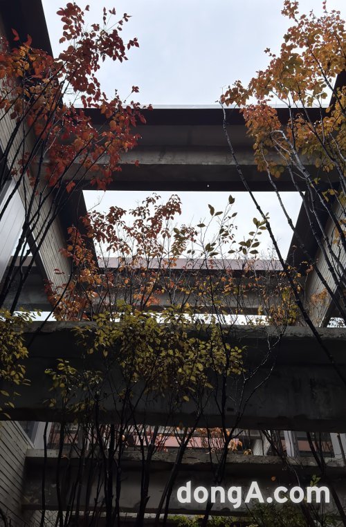 박봉담키친 입구와 연결된 중정. 박봉담키친을 2층 구조이며, 통창을 통해 중정의 자연을 감상할 수 있다. 좌석은 약 200석 규모다.  윤우열 기자 cloudancer@donga.com