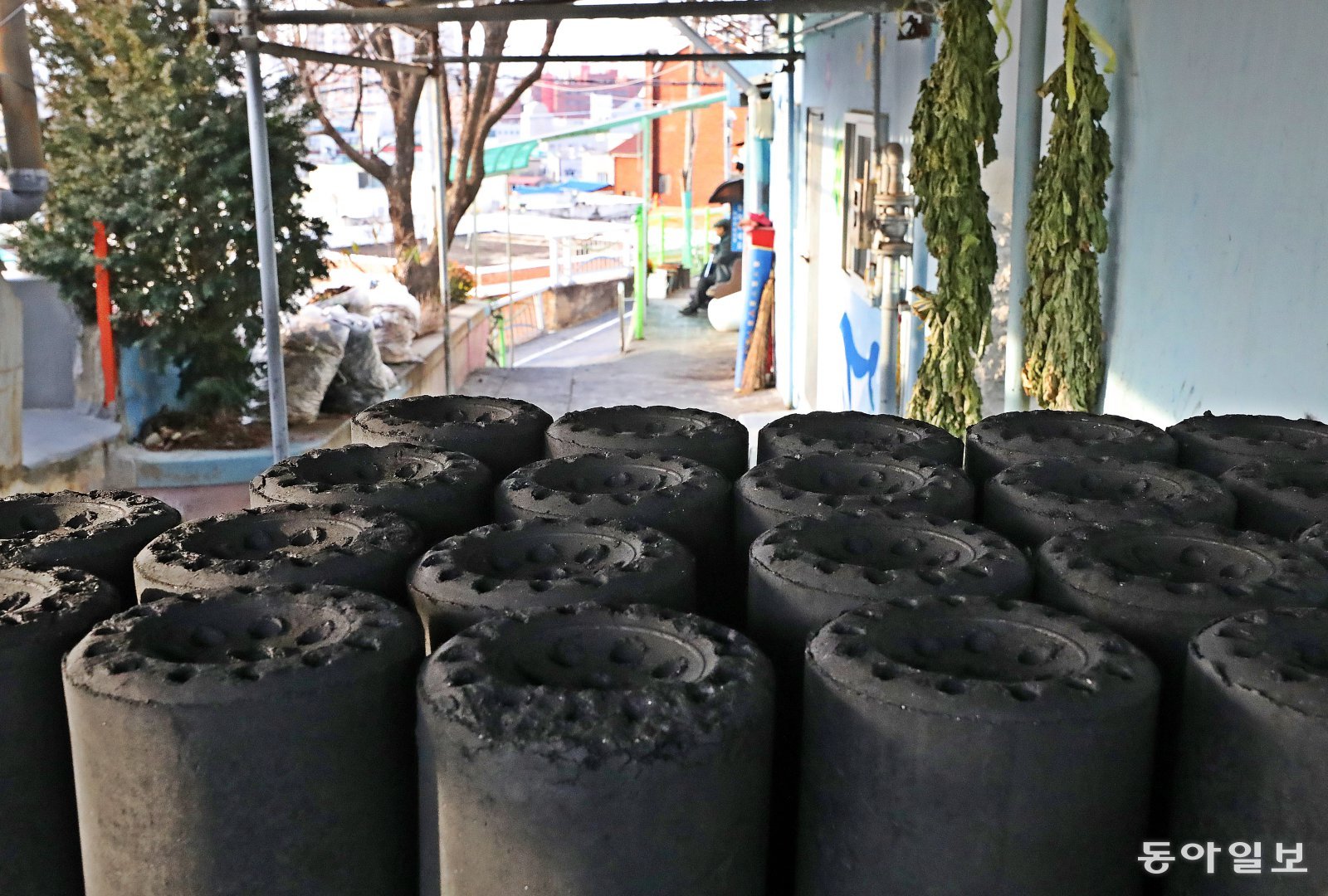 지난 10일 대전 동구 대동마을 골목길에 연탄이 쌓여 있다. 대전=김태영 기자 live@donga.com