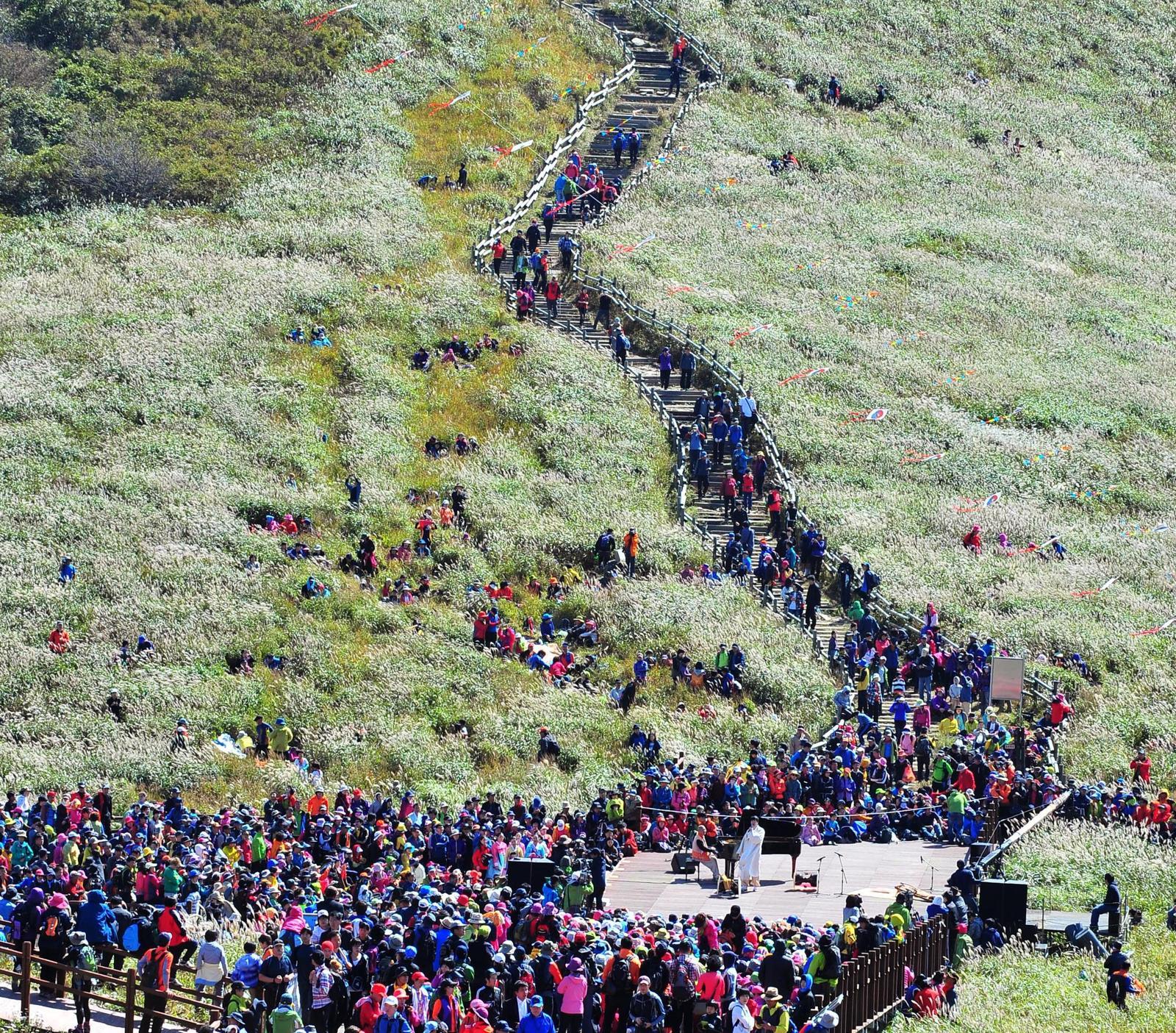 영남알프스의 관문 격인 울산 울주군 상북면 간월재에 펼쳐진 억새를 구경하기 위해 등산객이 이어지고 있다. 정부는 울산권 영남알프스를 울산 동구 일산해수욕장(대왕암공원)과 함께 해양산악레저특구로 지정했다. 
울주군 제공