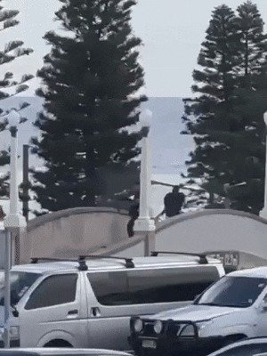 〈사진=X @AustralianJA〉