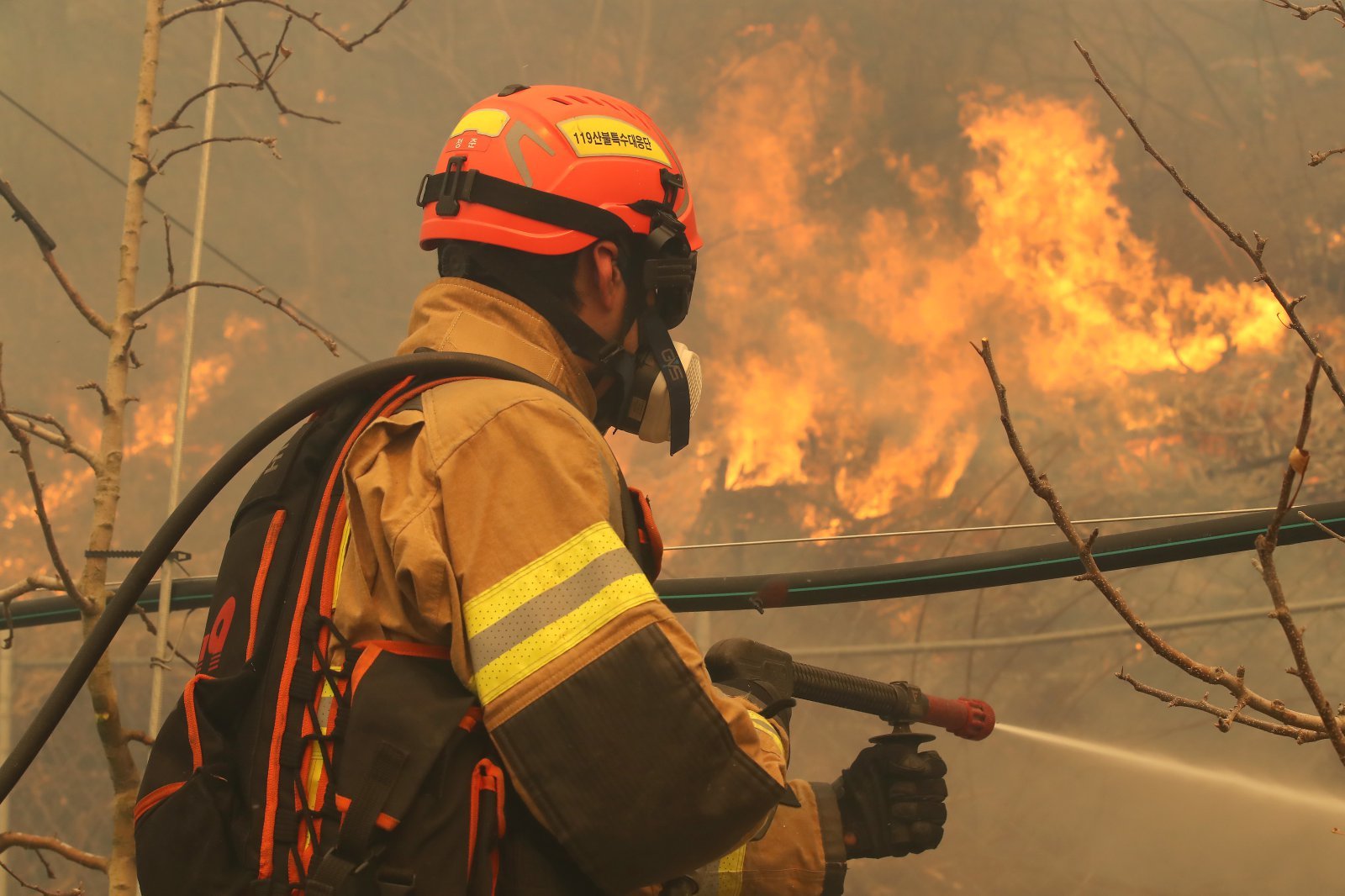 화마와 싸우는 소방관.  기사 내용과 직접적인 연관은 없음. ⓒ News1
