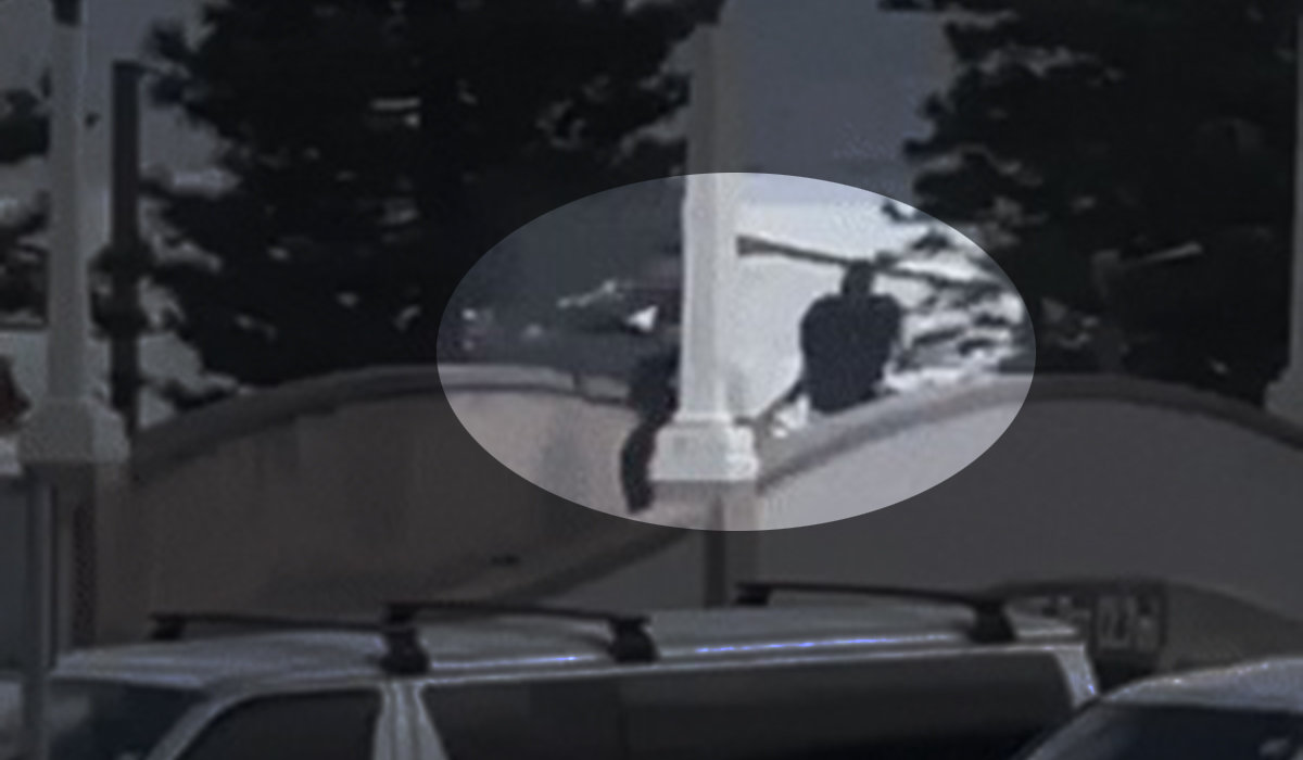 사진 @AustralianJA X 캡처