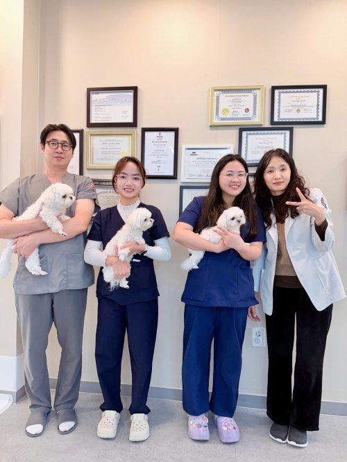 사진 출처=이지동물의료센터 블로그