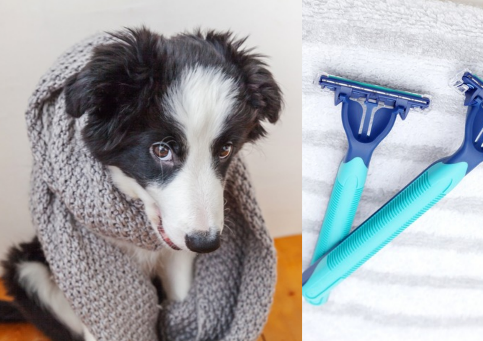 사진=게티이미지뱅크.