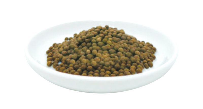 한방으로 뇌중풍 환자만 50년간 전문 치료