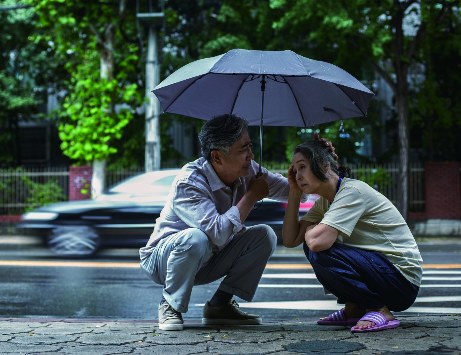 기억력과 인지력 저하를 방치하면 혼자 외출하거나 약을 챙기고 집안일을 처리하는 것조차 어려워진다. 노화로 인한 기억력과 인지력 감소를 개선해주는 건강기능성 원료는 포스파티딜세린과 은행잎 추출물이 대표적이다. 게티이미지코리아