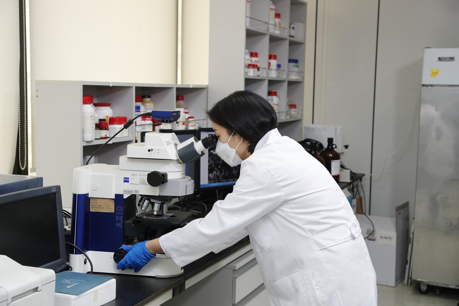 hy 연구원이 현미경을 통해 프로바이오틱스를 관찰하고 있다. hy 제공