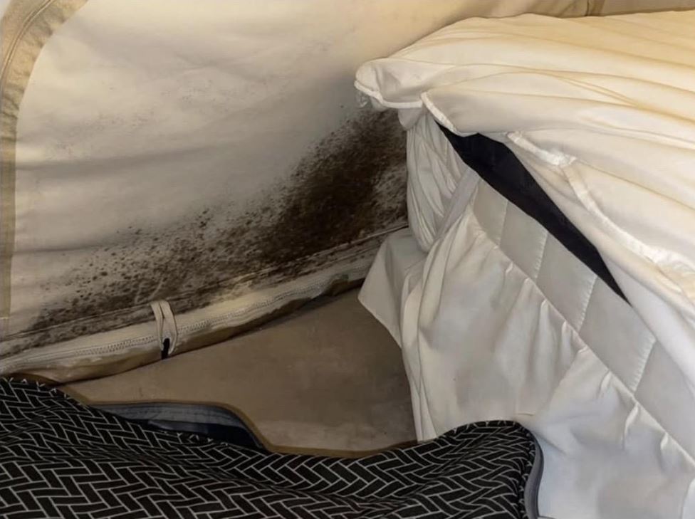 “불멍까지만 하고 도망쳤다”…1박 23만원 글램핑장 충격 실태