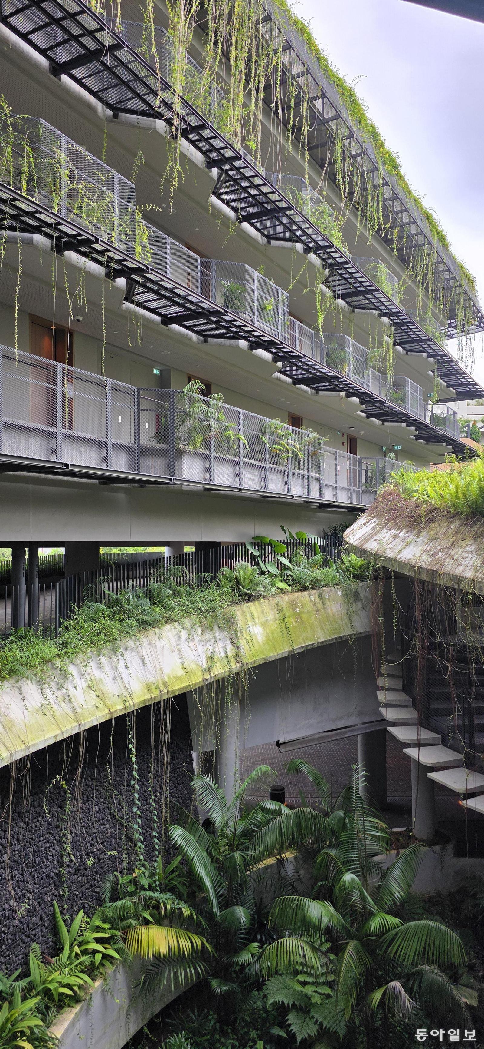 초록색 덩굴 식물이 빗물 형태로 건물을 덮은 만다이 리조트 숙박동. 싱가포르=김선미 기자 kimsunmi@donga.com