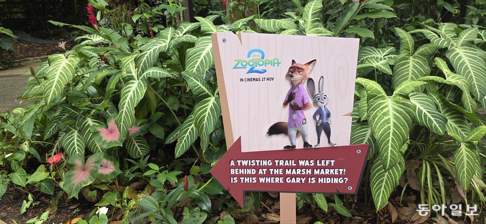 최근 개봉한 디즈니 애니메이션 ‘주토피아 2’ 를 빗대 트레일을 안내하는 싱가포르 동물원 푯말. 싱가포르=김선미 기자 kimsunmi@donga.com