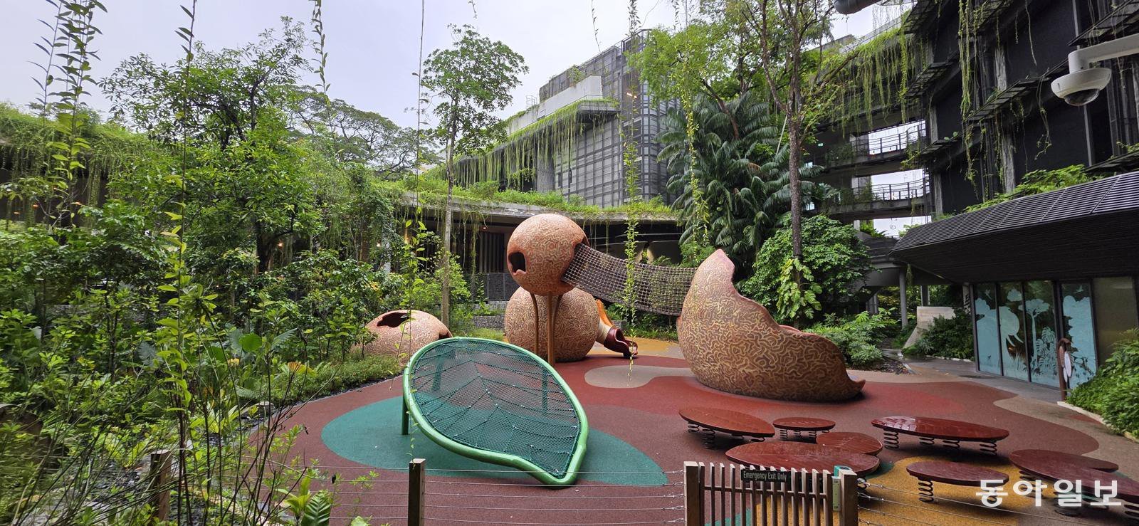 포탄나무 열매 모양으로 정글짐을 만든 리조트 내 어린이 놀이터. 싱가포르=김선미 기자 kimsunmi@donga.com