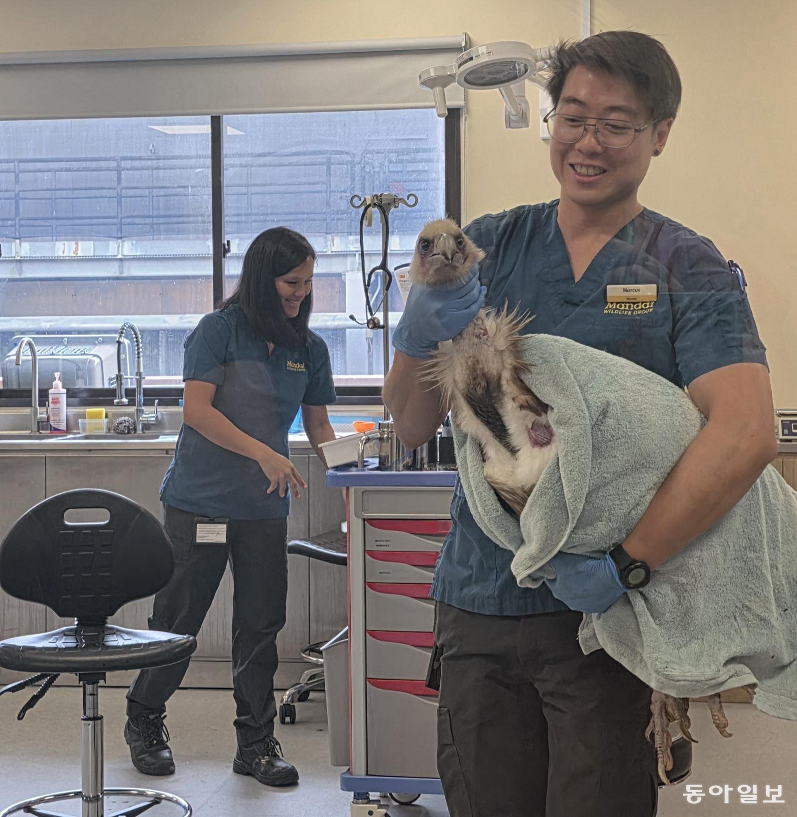 야생동물 헬스케어 연구세터 의료진들이 부상당한 동물을 돌보고 있다. 싱가포르=김선미 기자 kimsunmi@donga.com